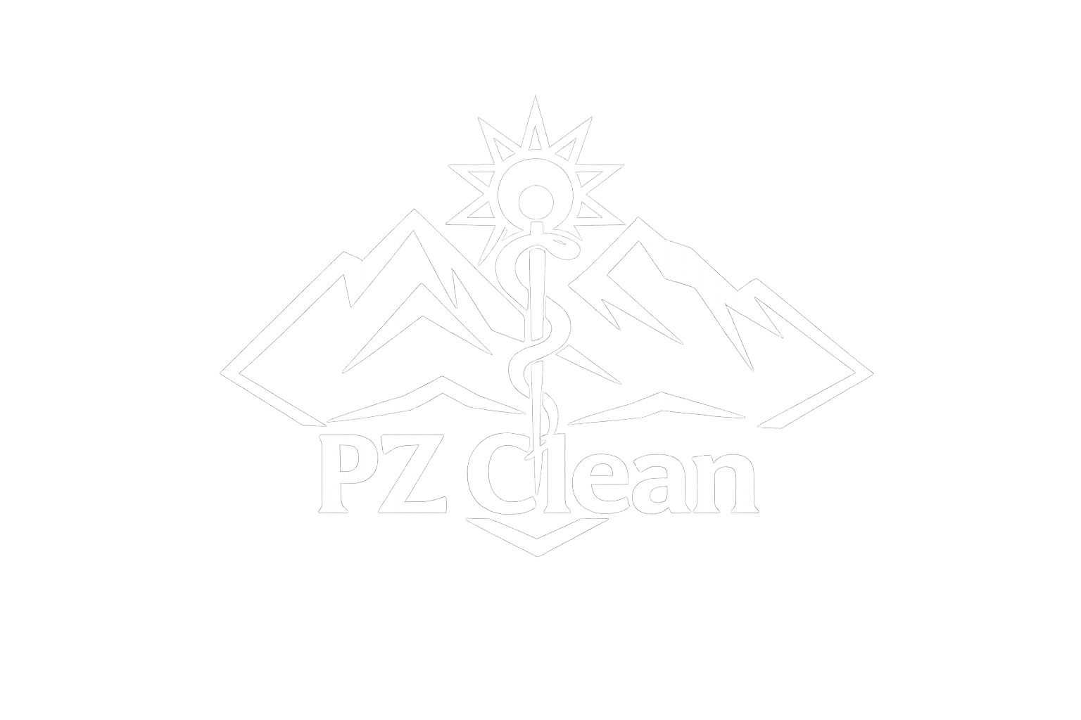 PZ Clean logo